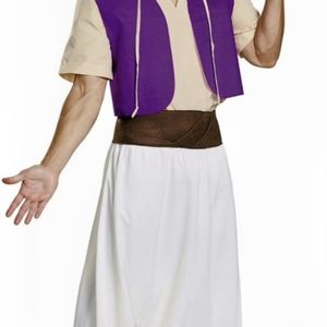 Aladdin adult costume